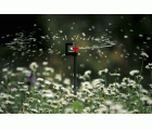 Mini-aspersor de 360º Micro-Drip-System