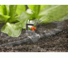 Mini-aspersor de 360º Micro-Drip-System