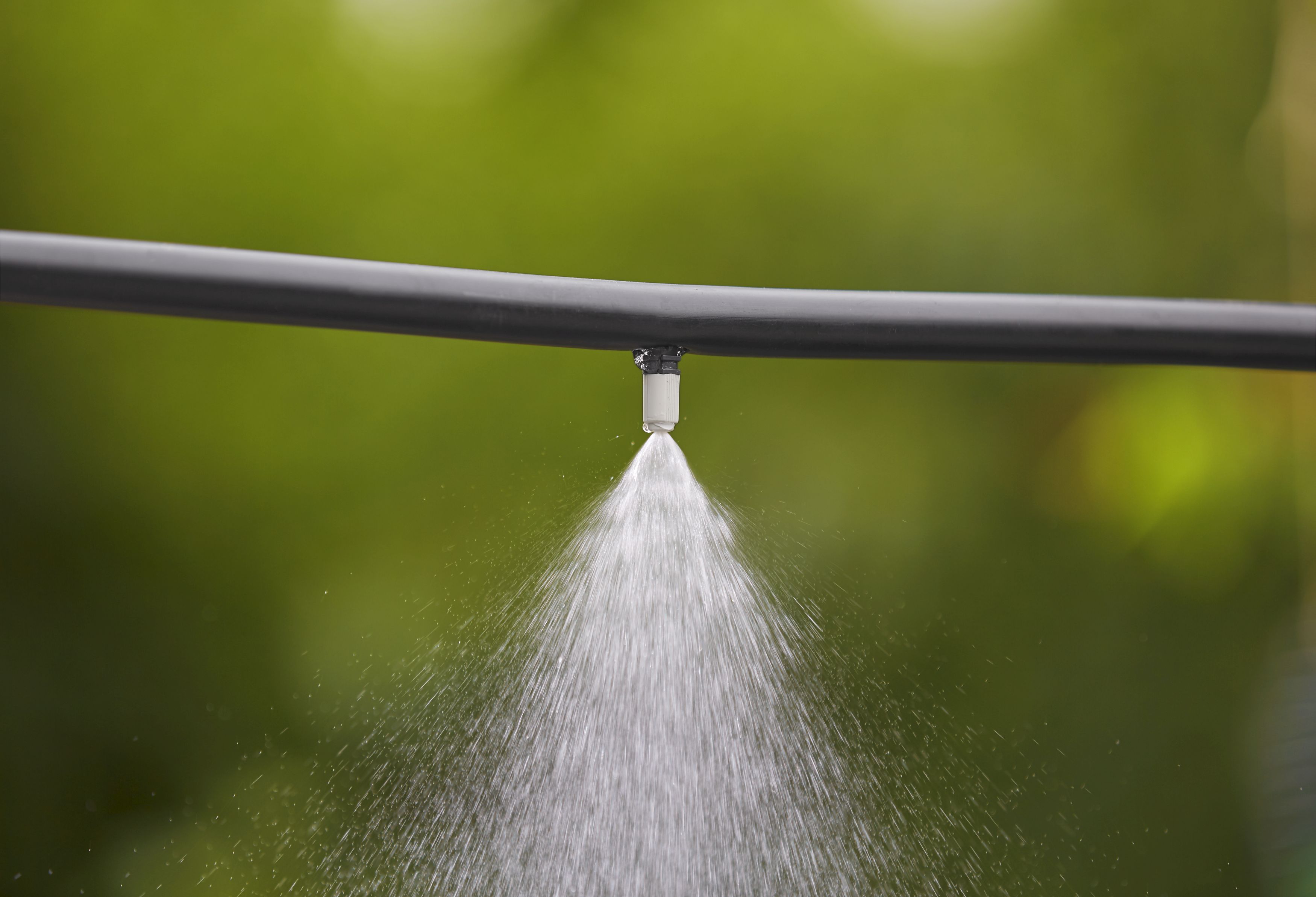 Micro-difusor de bruma