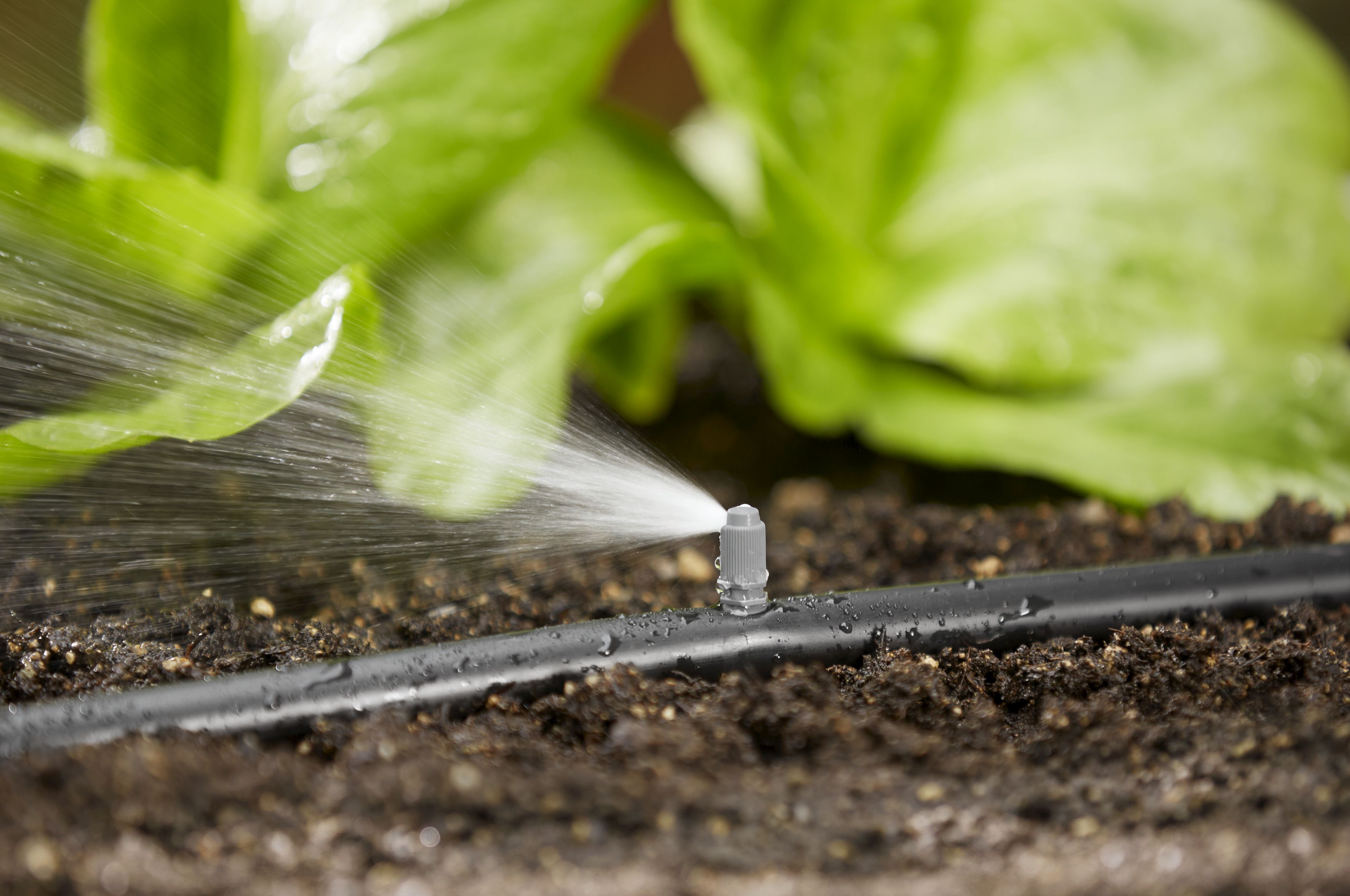 Tobera para final de franja