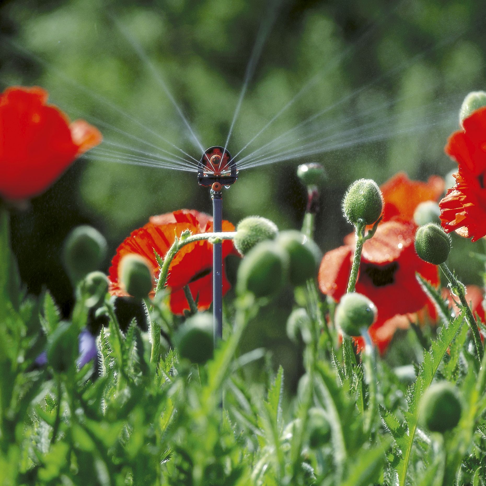 Tobera pulverizadora 6 sectores