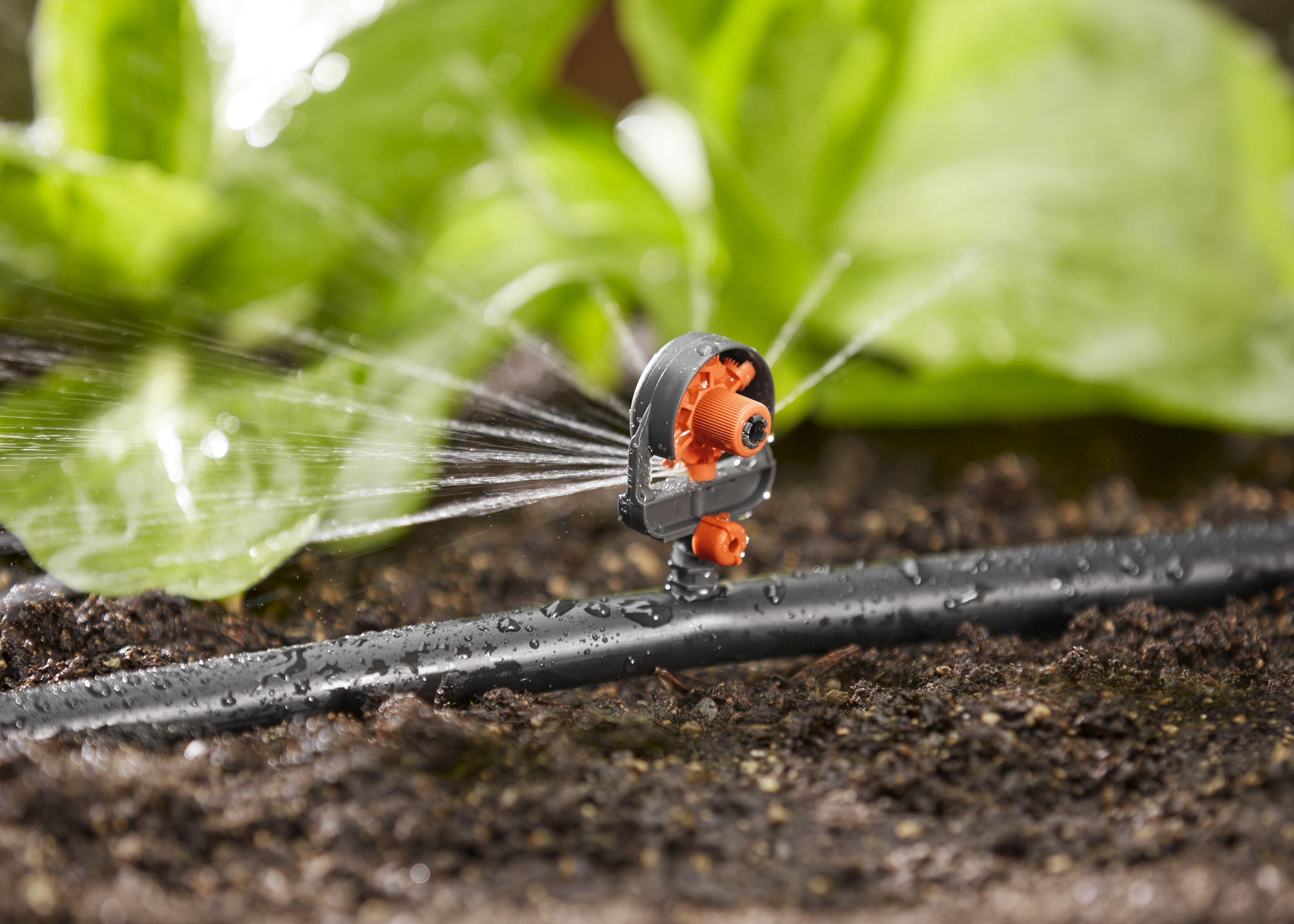 Tobera pulverizadora 6 sectores