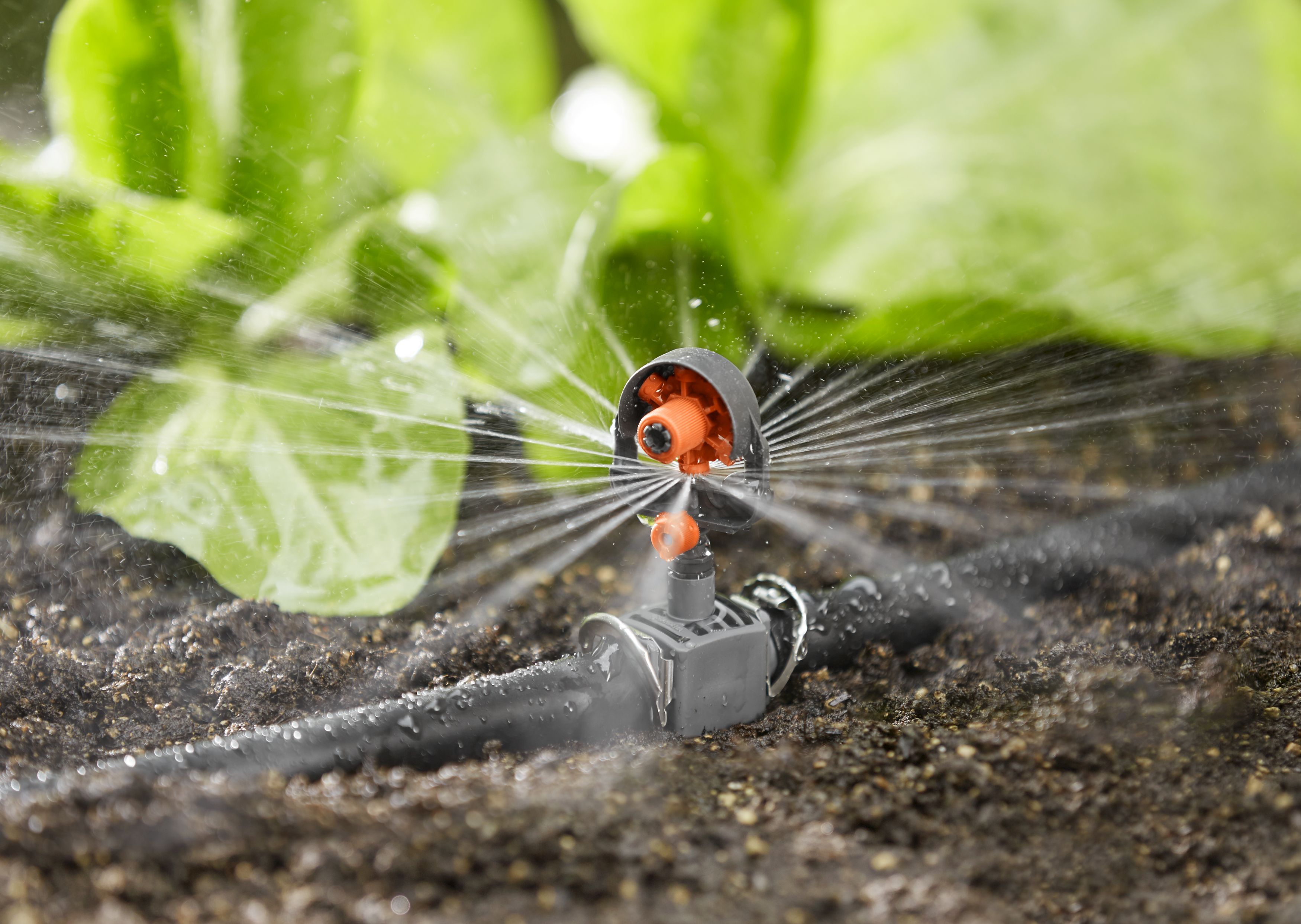 Tobera pulverizadora 6 sectores