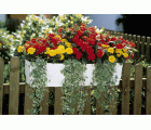 Riego automático para jardineras