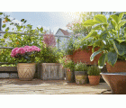 Riego automático para jardineras