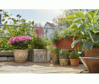 Riego automático para jardineras