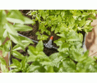 Riego automático para jardineras