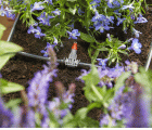 Riego automático para jardineras