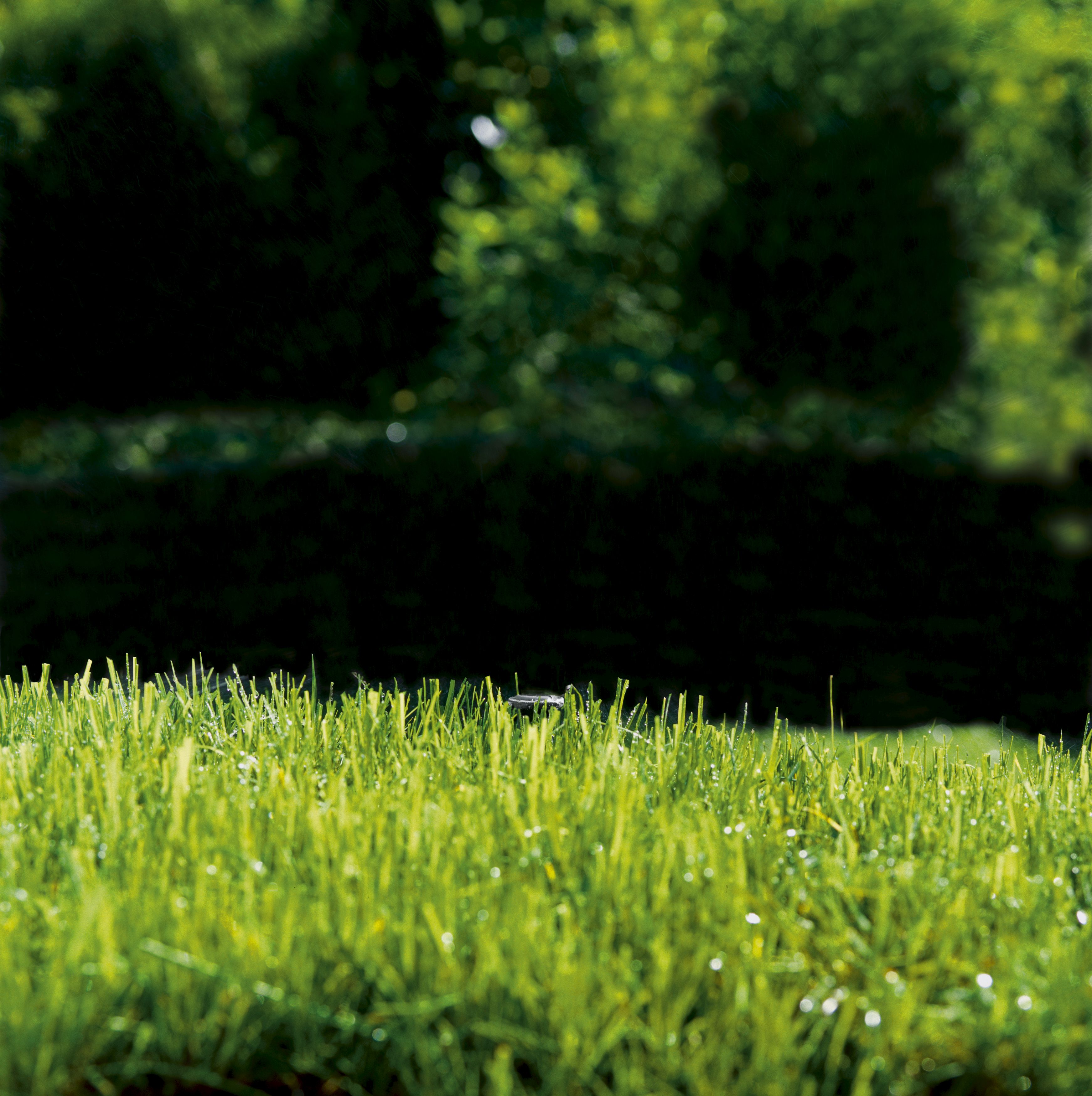 Tobera para arriates