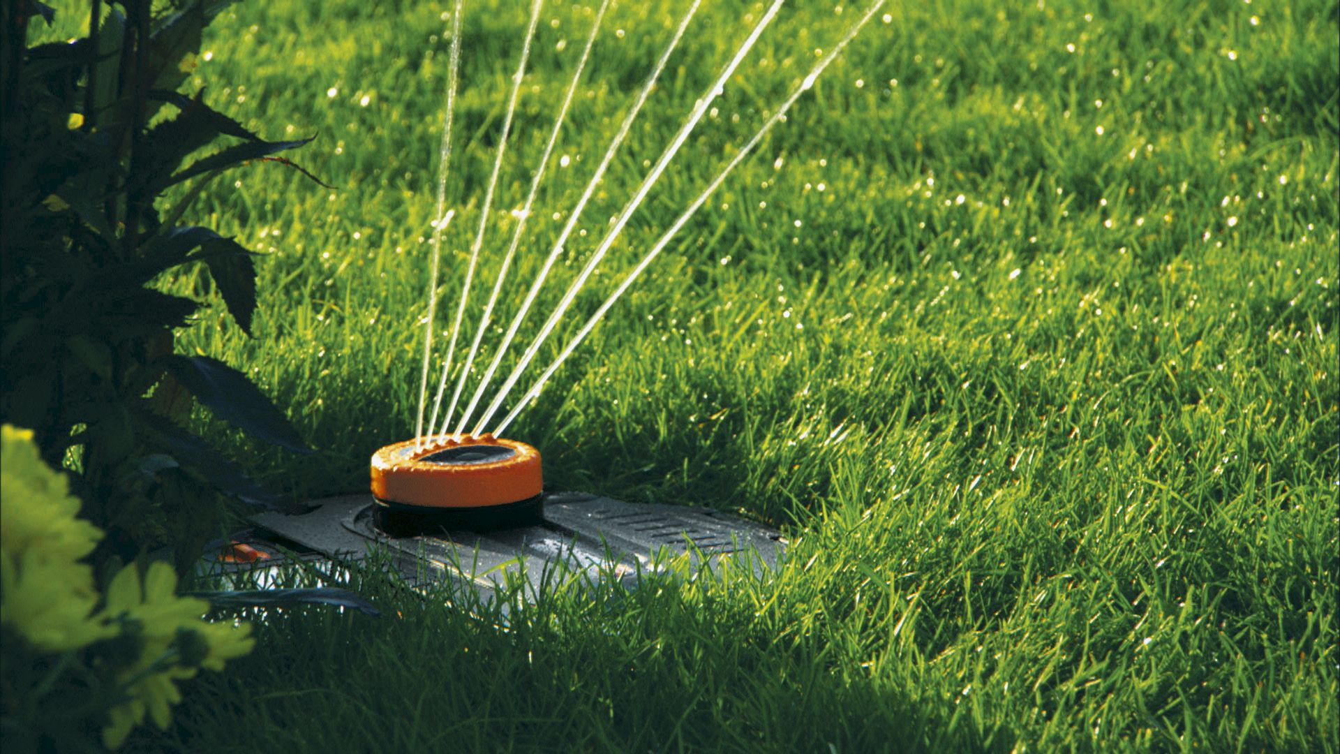 Aspersor emergente para superficies asimétricas AquaContour automatic