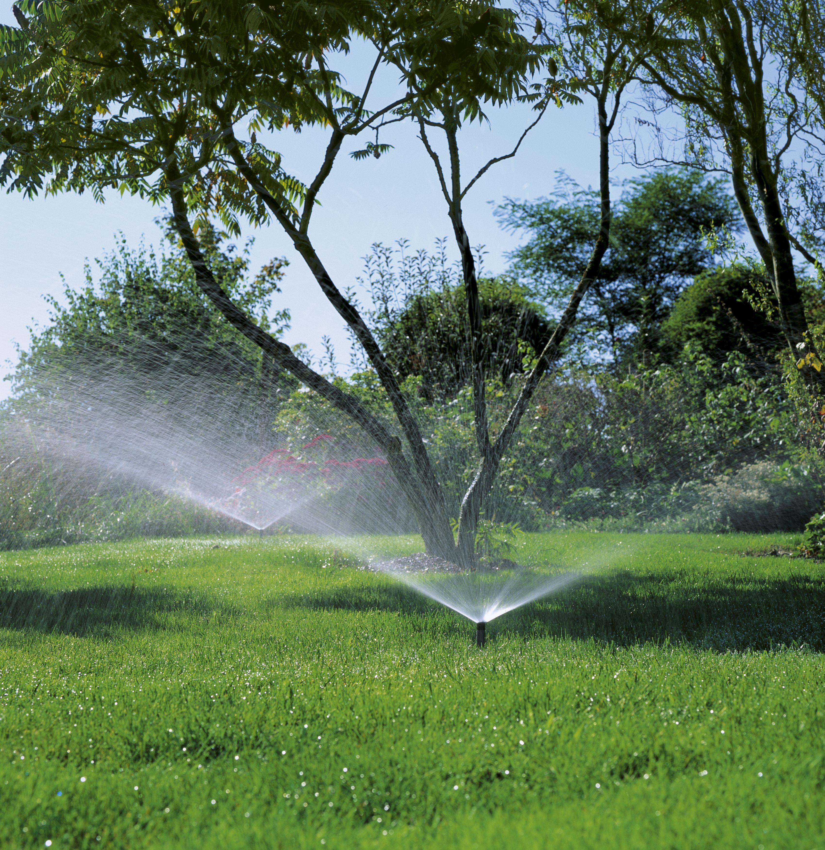 Aspersor emergente S 80