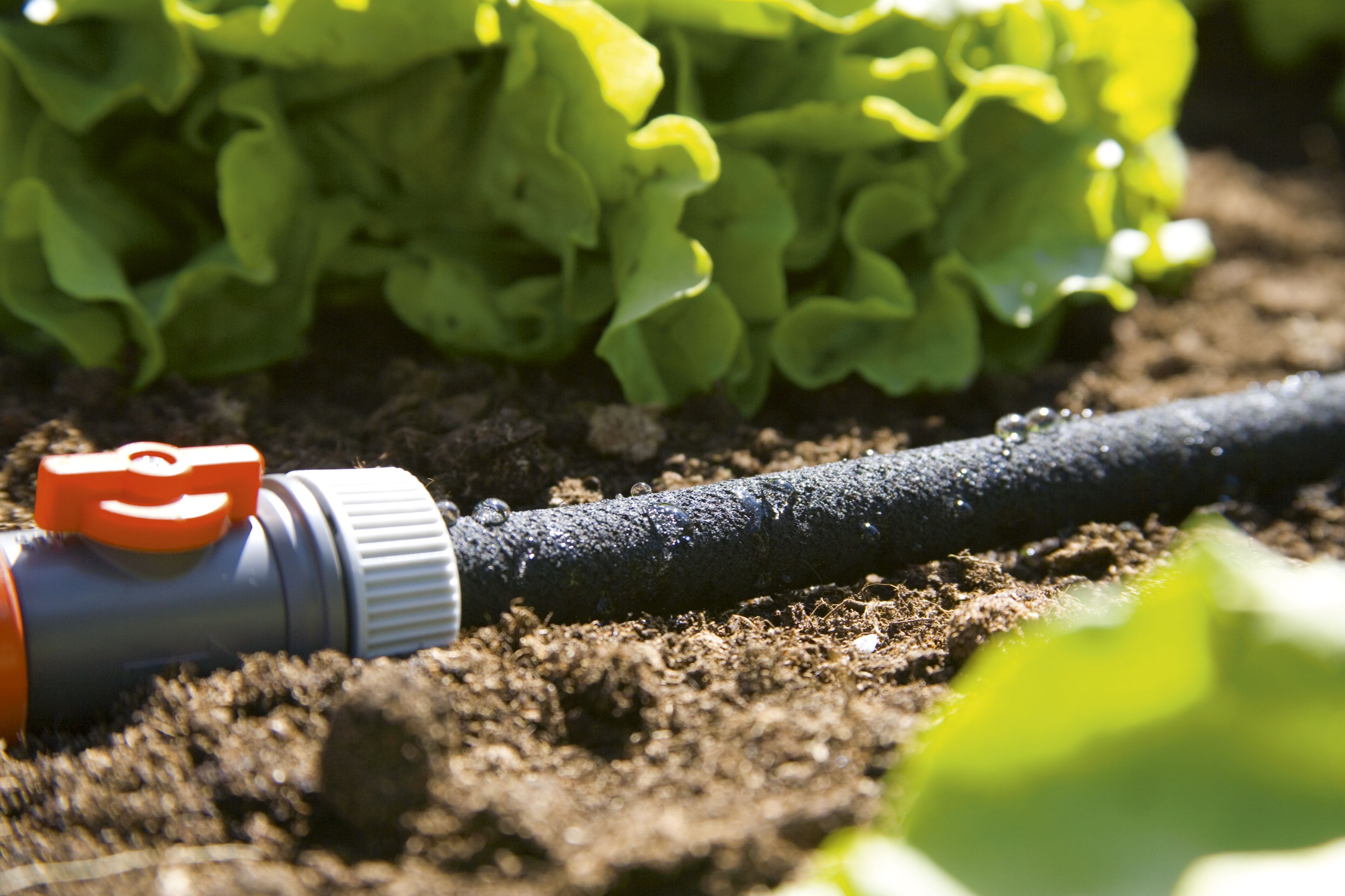 Manguera de riego por goteo equipada de 7,5 m