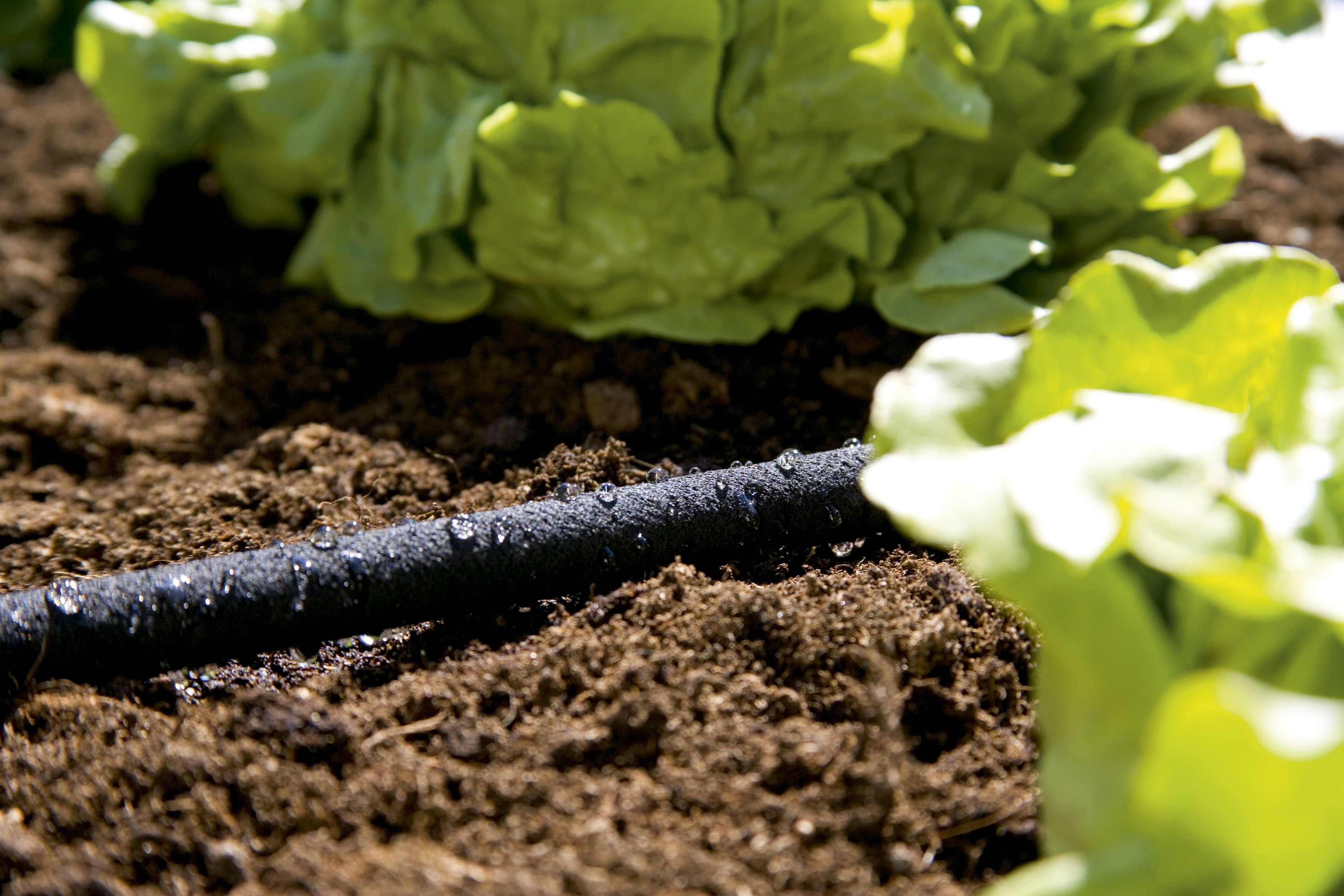 Manguera de riego por goteo equipada de 7,5 m