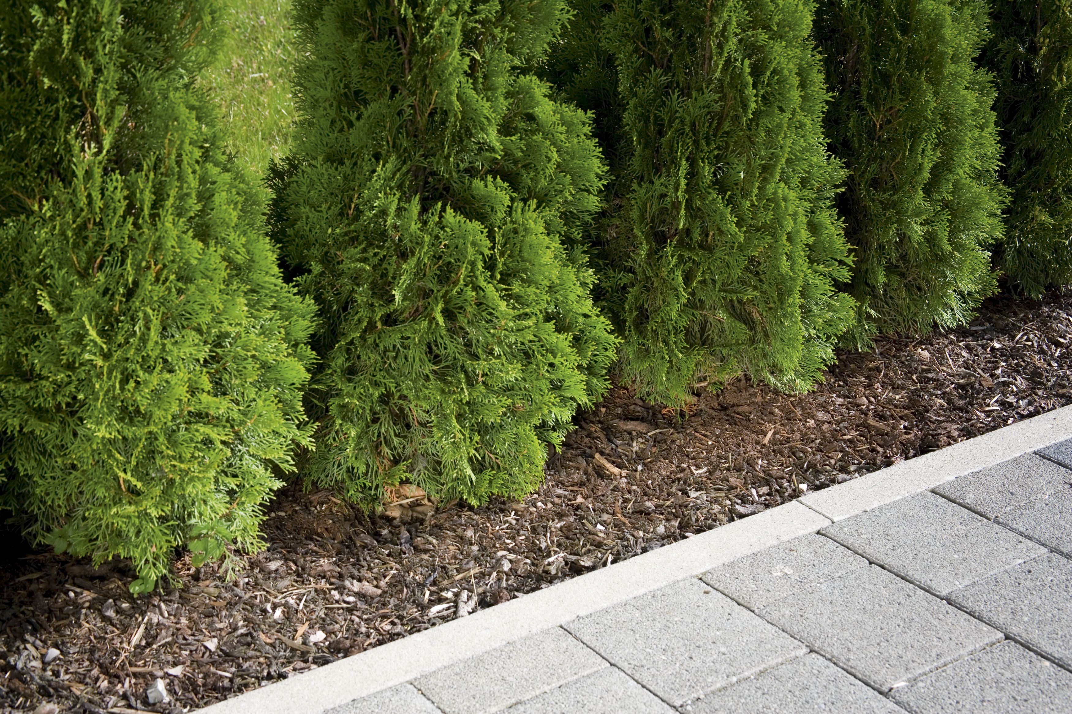 Manguera de riego por goteo equipada de 7,5 m