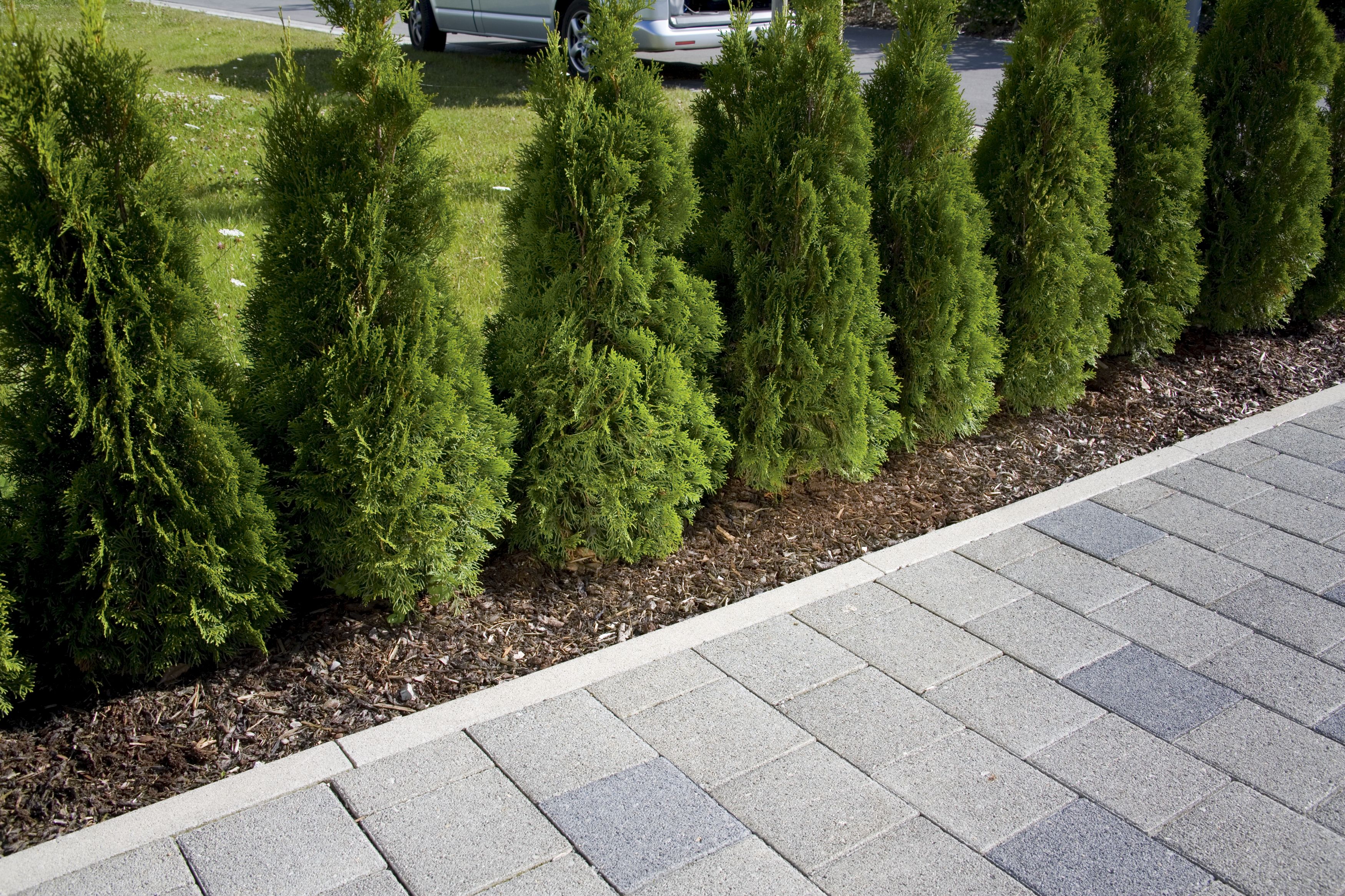 Manguera de riego por goteo equipada de 7,5 m