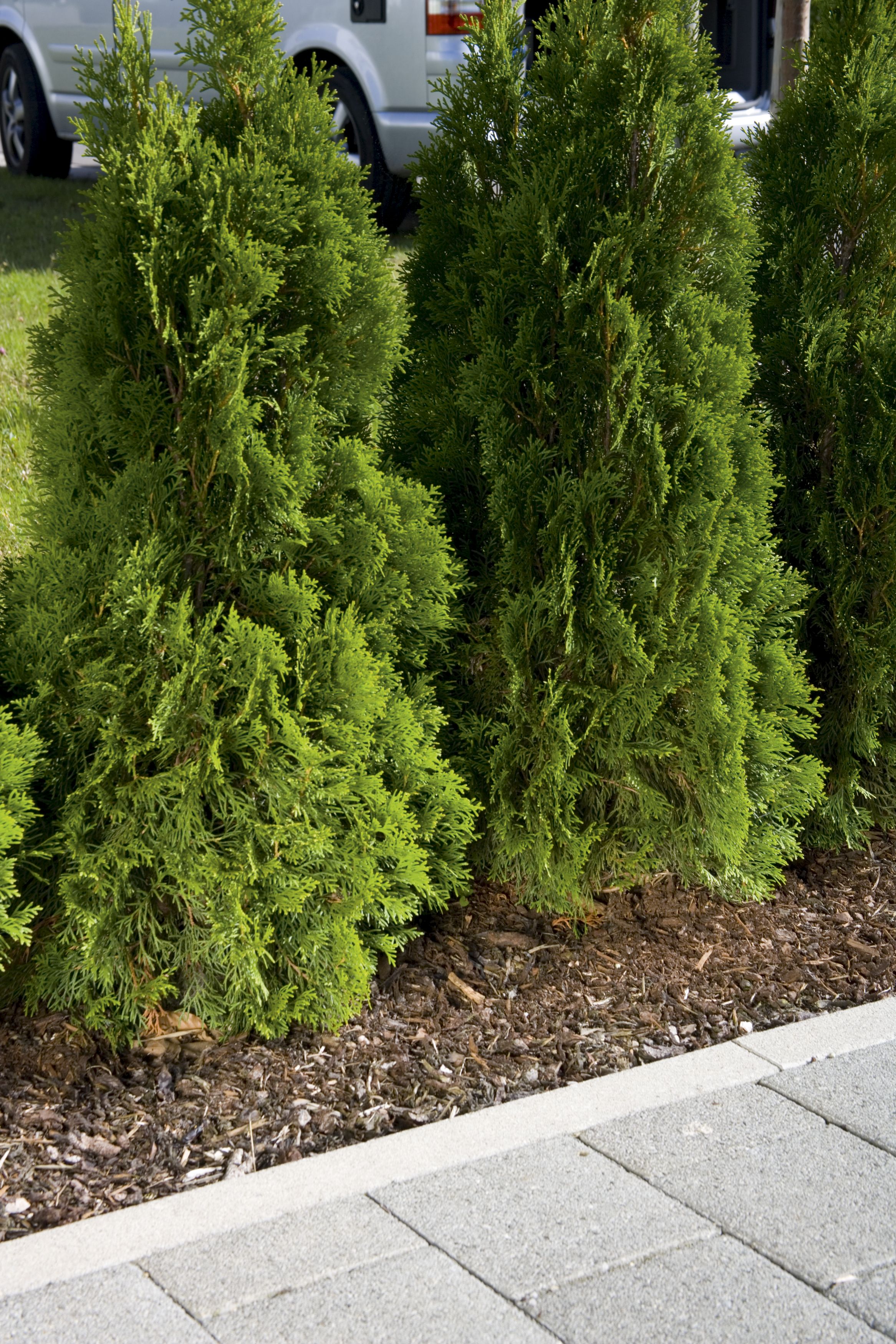 Manguera de riego por goteo equipada de 7,5 m