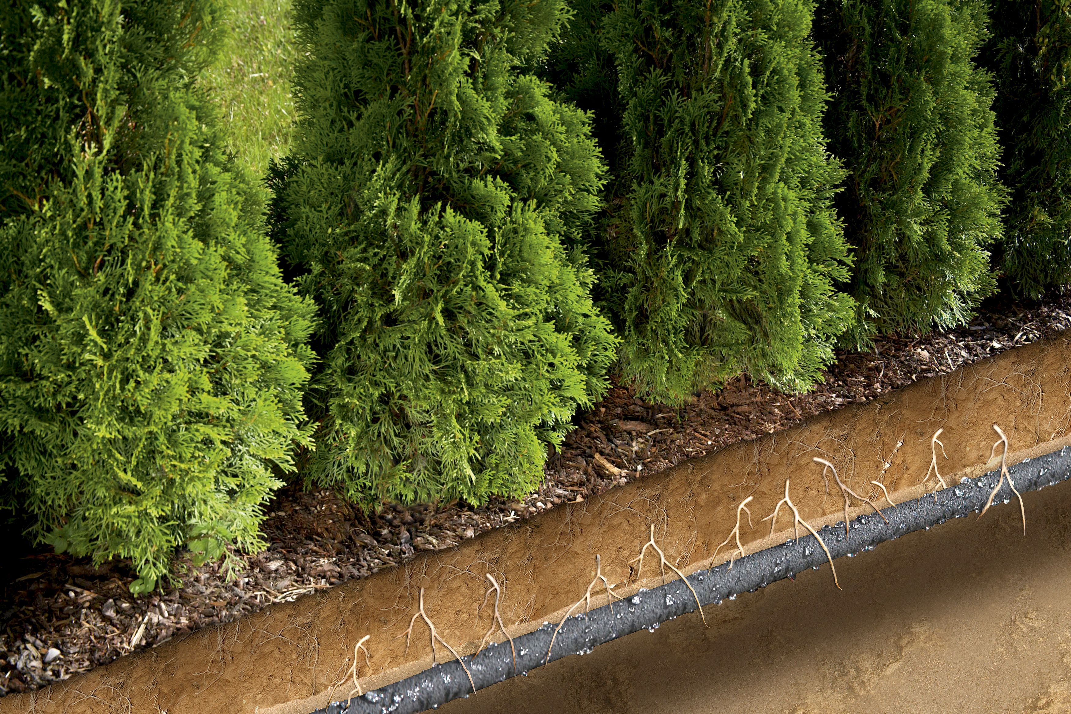 Manguera de riego por goteo equipada de 15 m