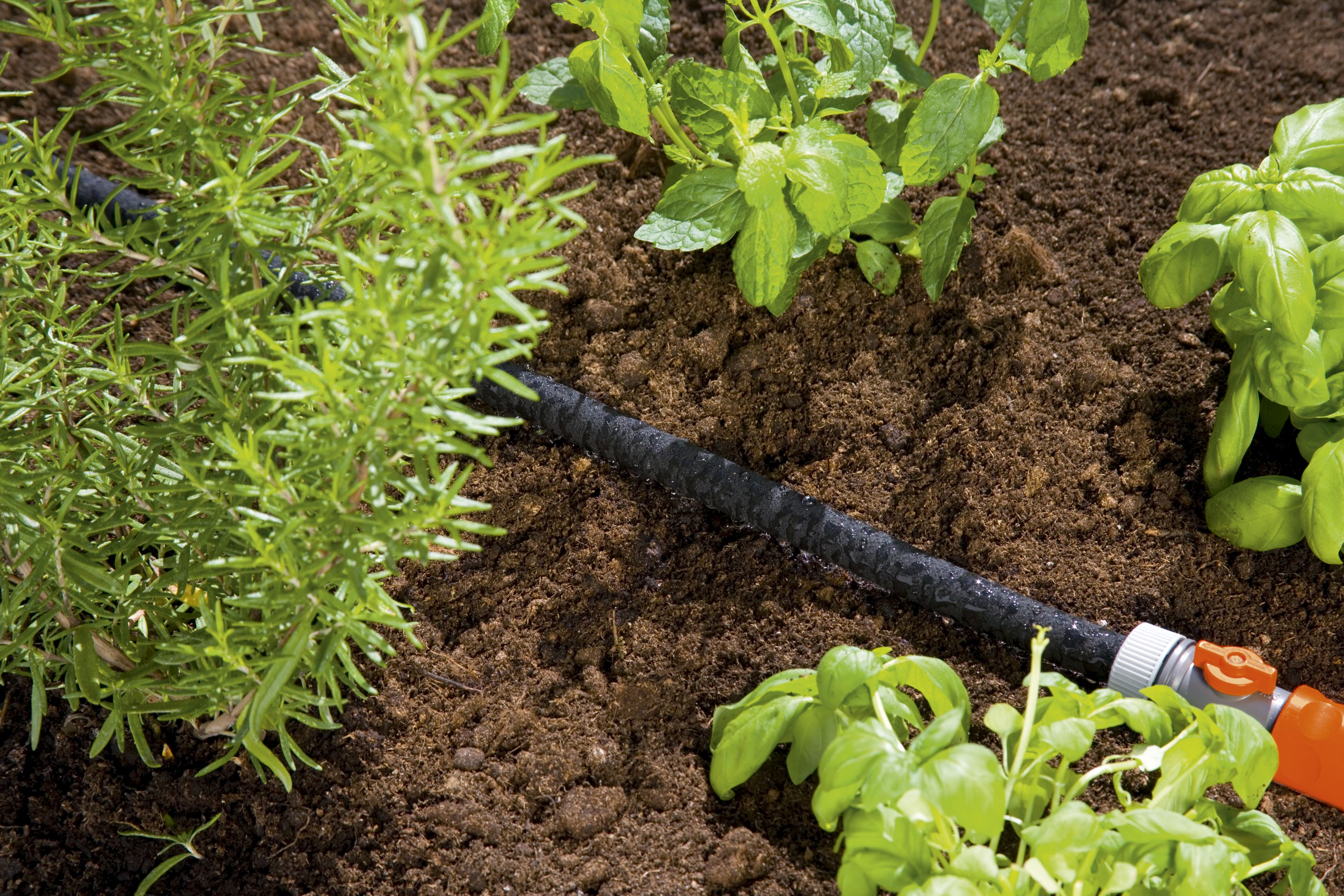 Manguera de riego por goteo equipada de 15 m