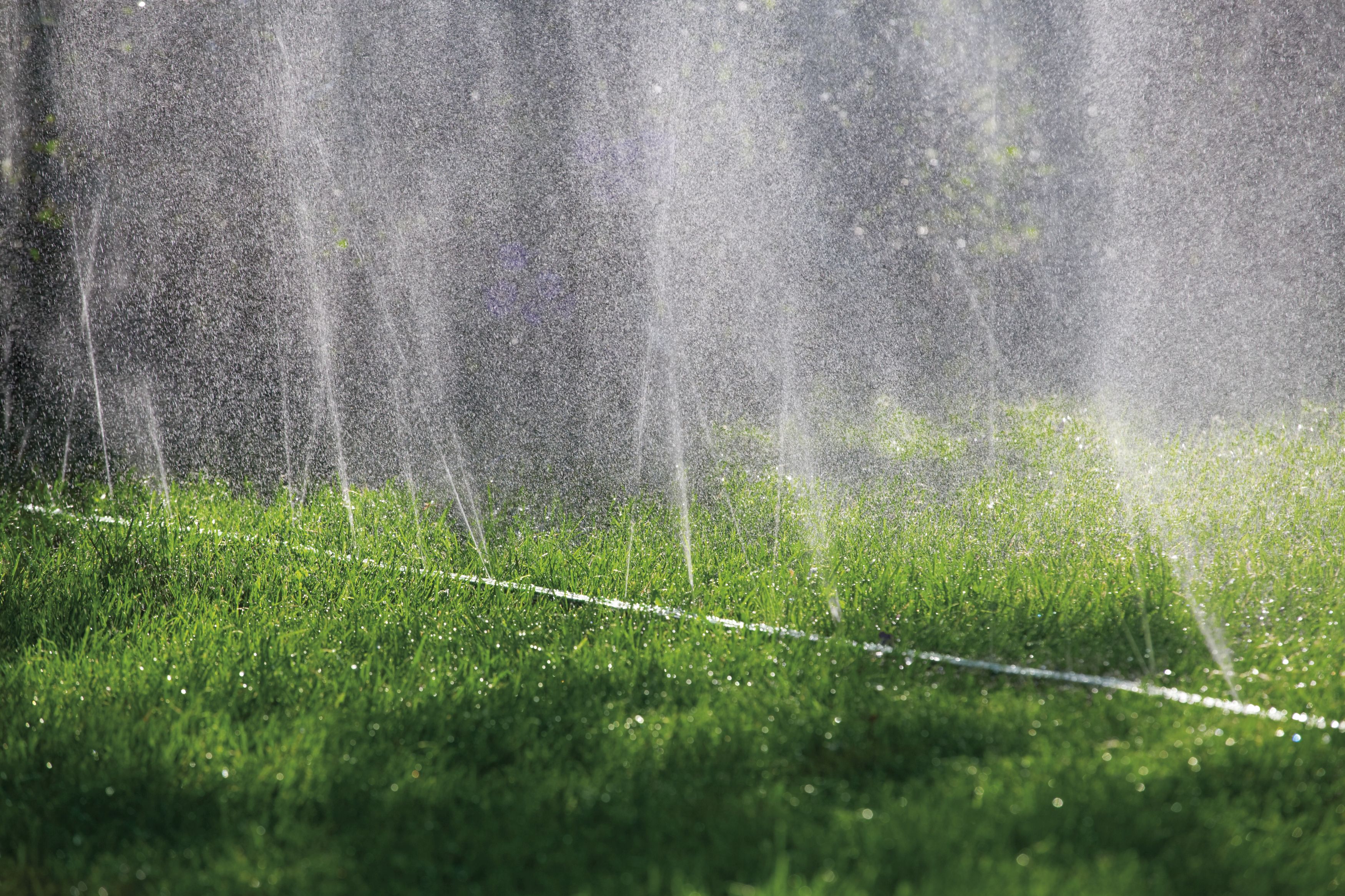 Manguera microperforada verde de 15 m