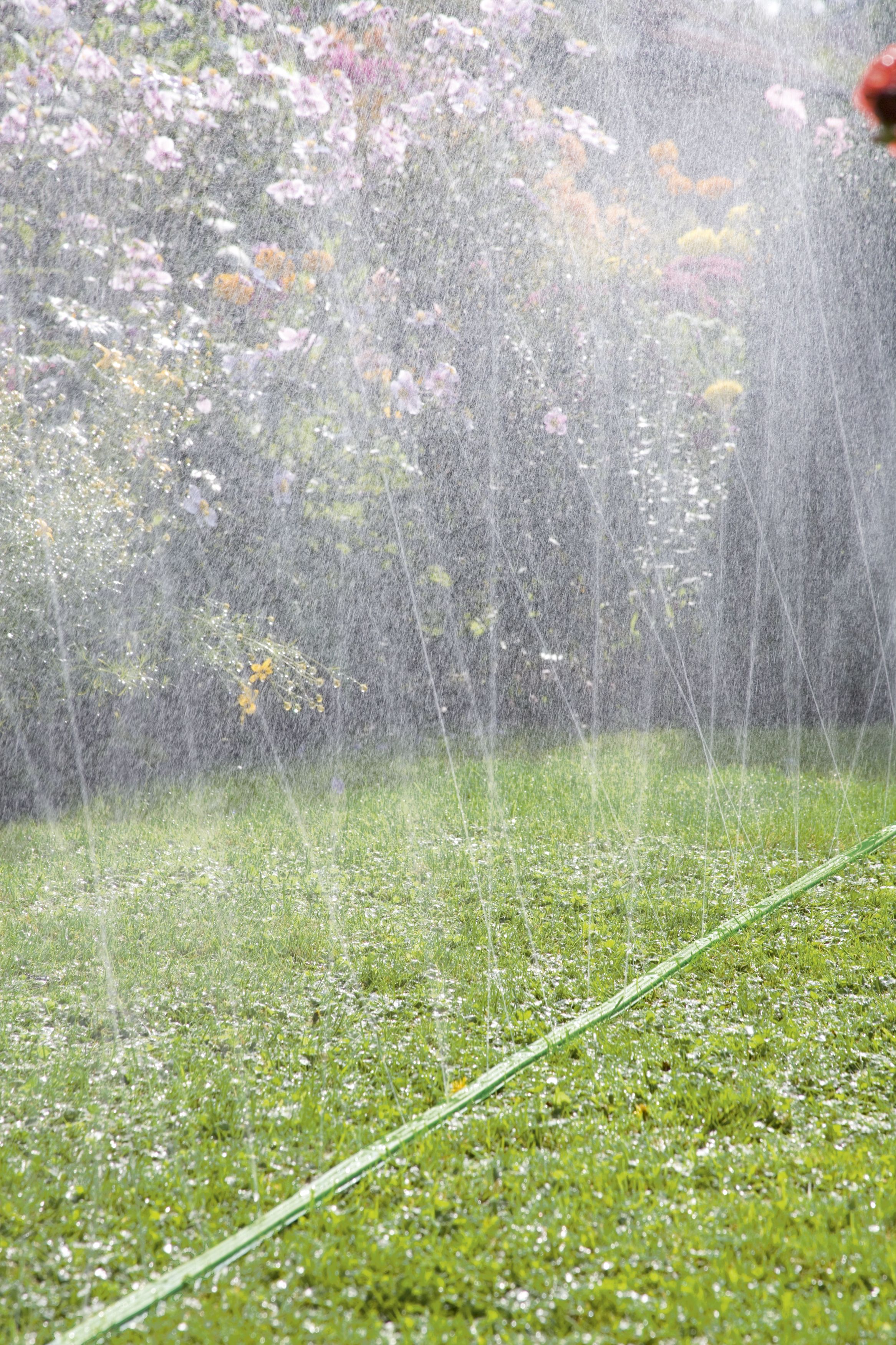 Manguera microperforada verde de 15 m