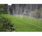 Manguera microperforada verde de 15 m