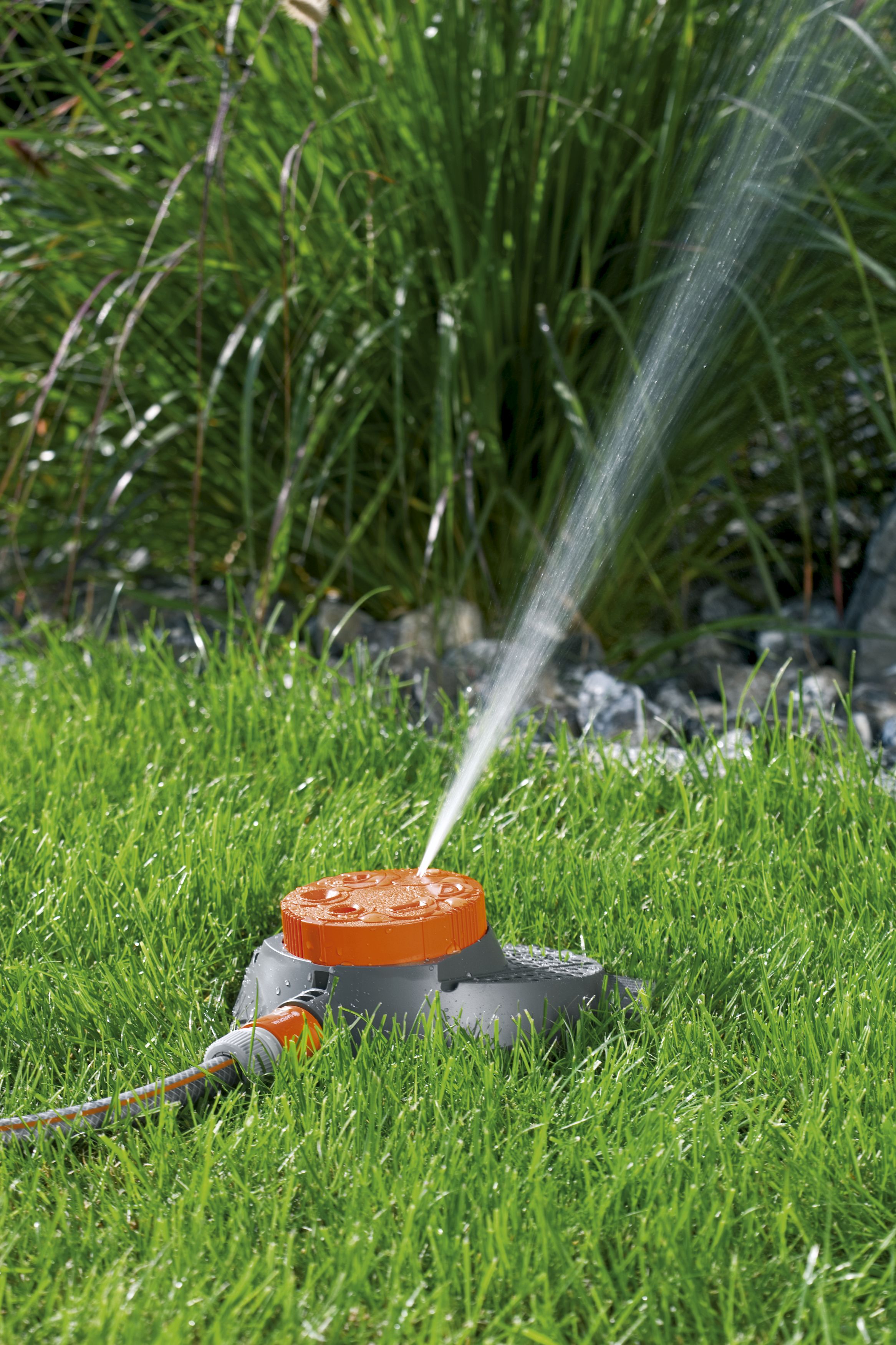 Aspersor de 6 superficies Boogie Classic