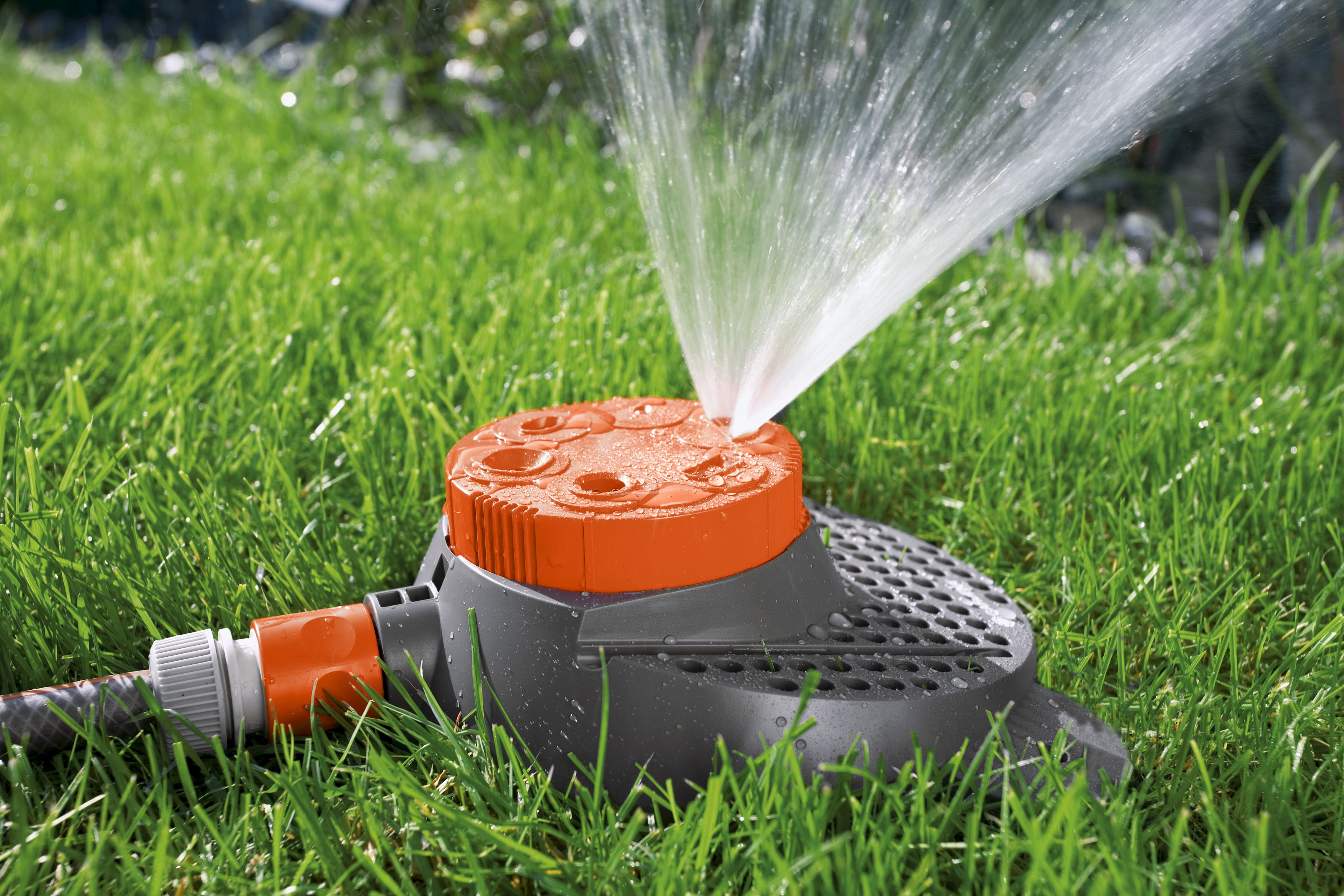 Aspersor de 6 superficies Boogie Classic