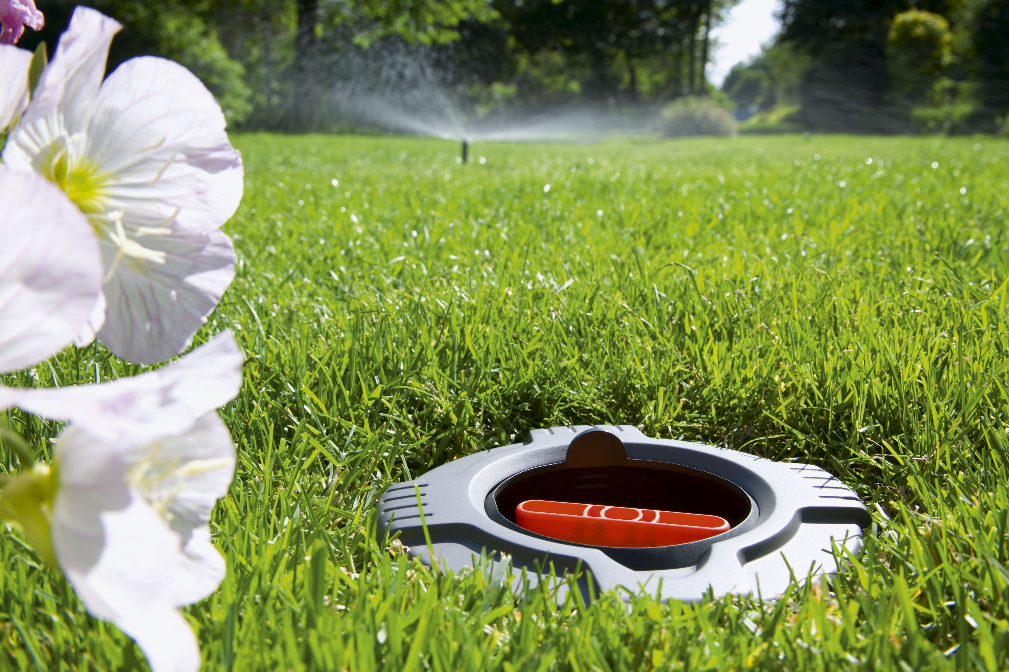 Válvula de regulación y de cierre