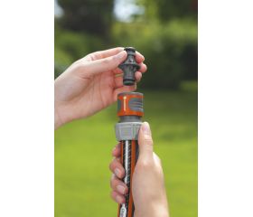 MANGUITO UNION RAPIDO