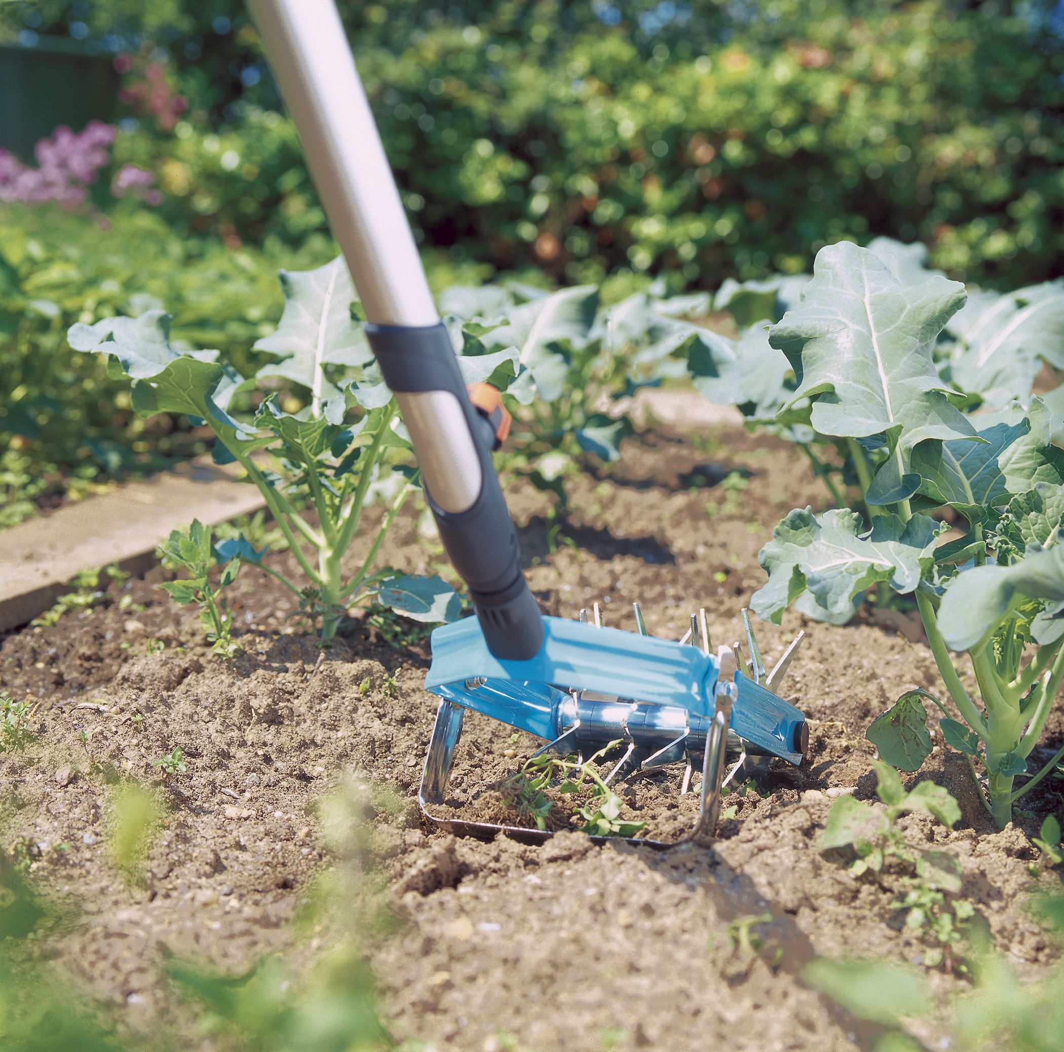 Desterronador-escardilla combisystem