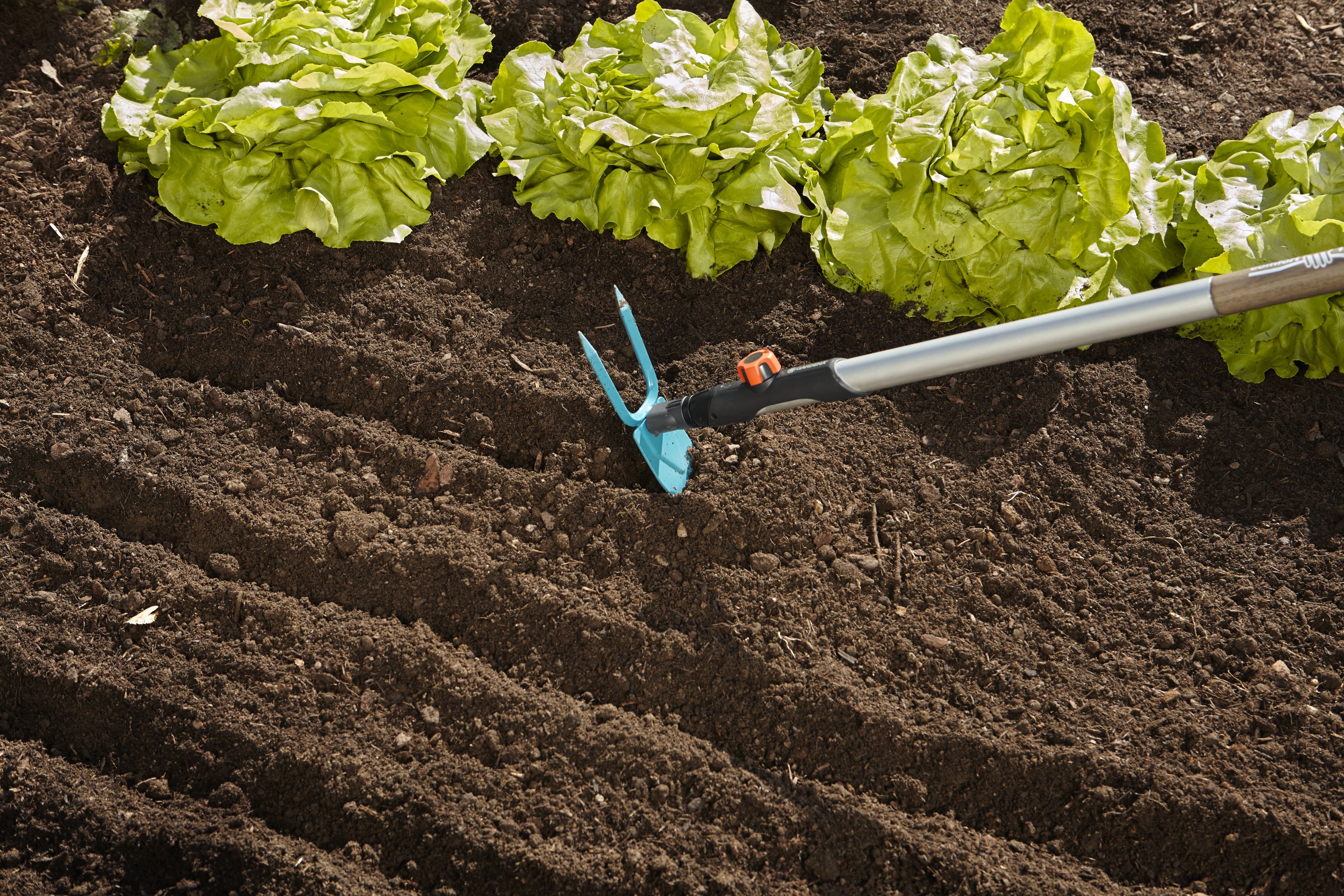 Azada binadora 7 cm combisystem de 2 puntas