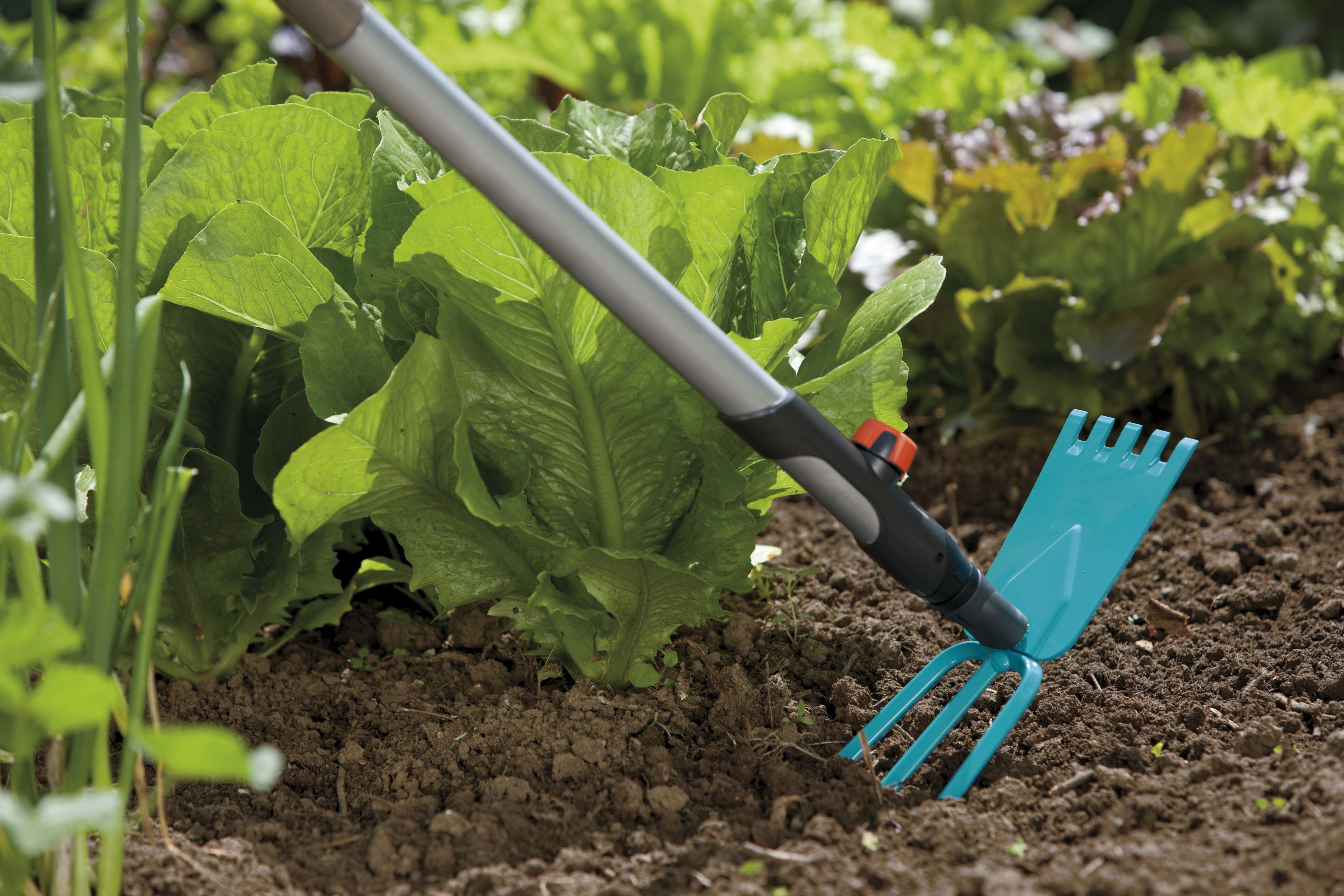 Azada binadora 9 cm combisystem de 3 puntas