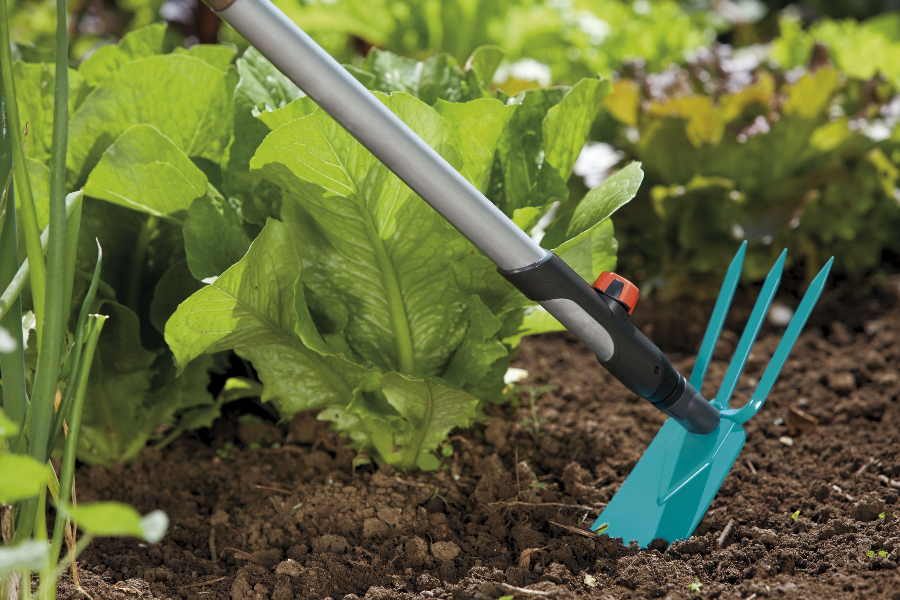 Azada binadora 9 cm combisystem de 3 puntas