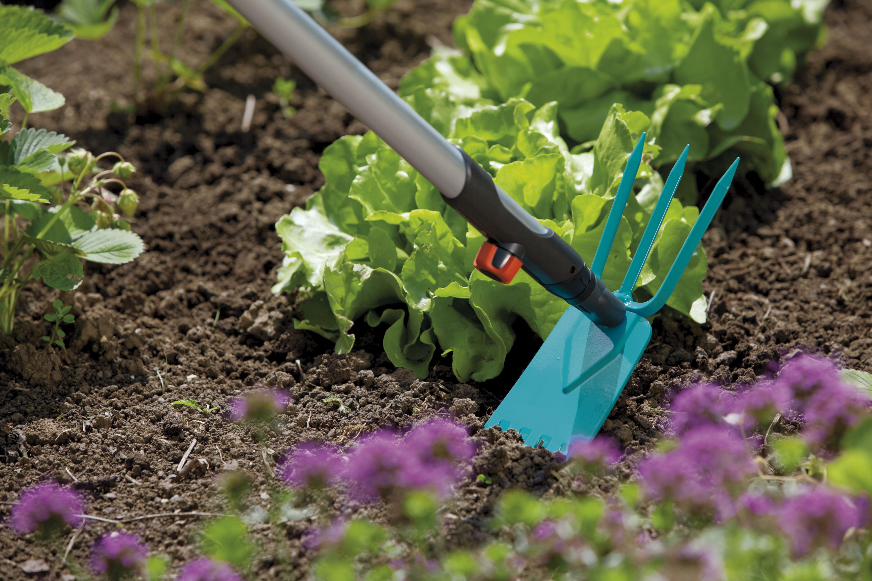 Azada binadora 9 cm combisystem de 3 puntas