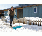 Recogedor de nieve