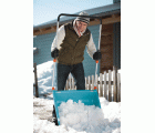 Recogedor de nieve