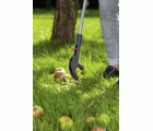 Pinza de jardín