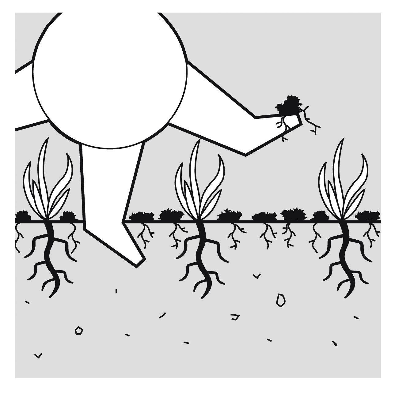 Aireador eléctrico EVC 1000