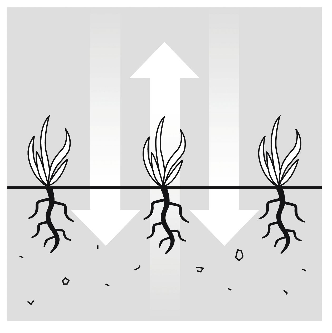 Aireador eléctrico EVC 1000