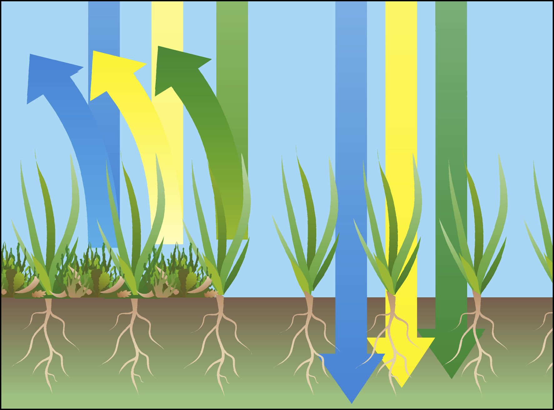 Aireador eléctrico EVC 1000