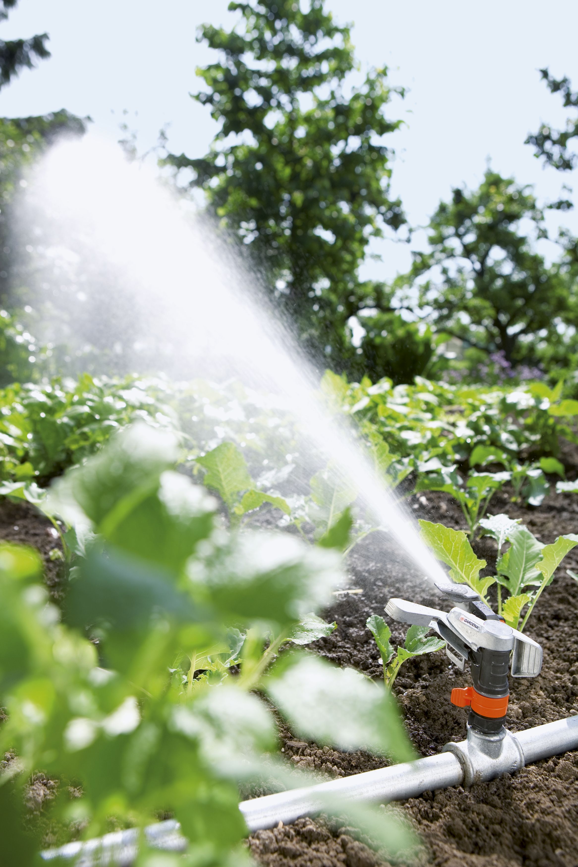 Aspersor de impacto sectorial Premium