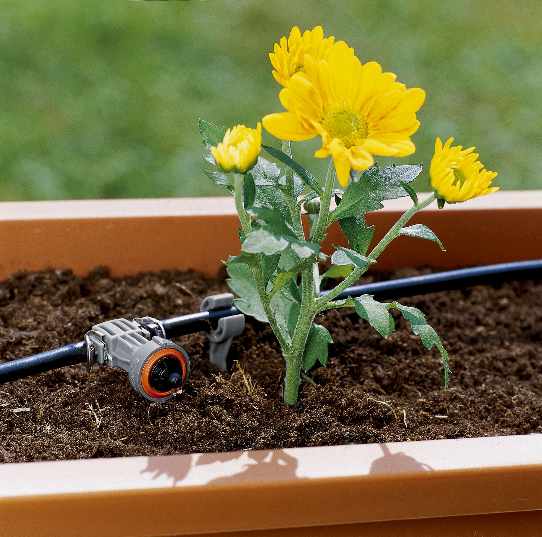Gotero en línea regulador de presión