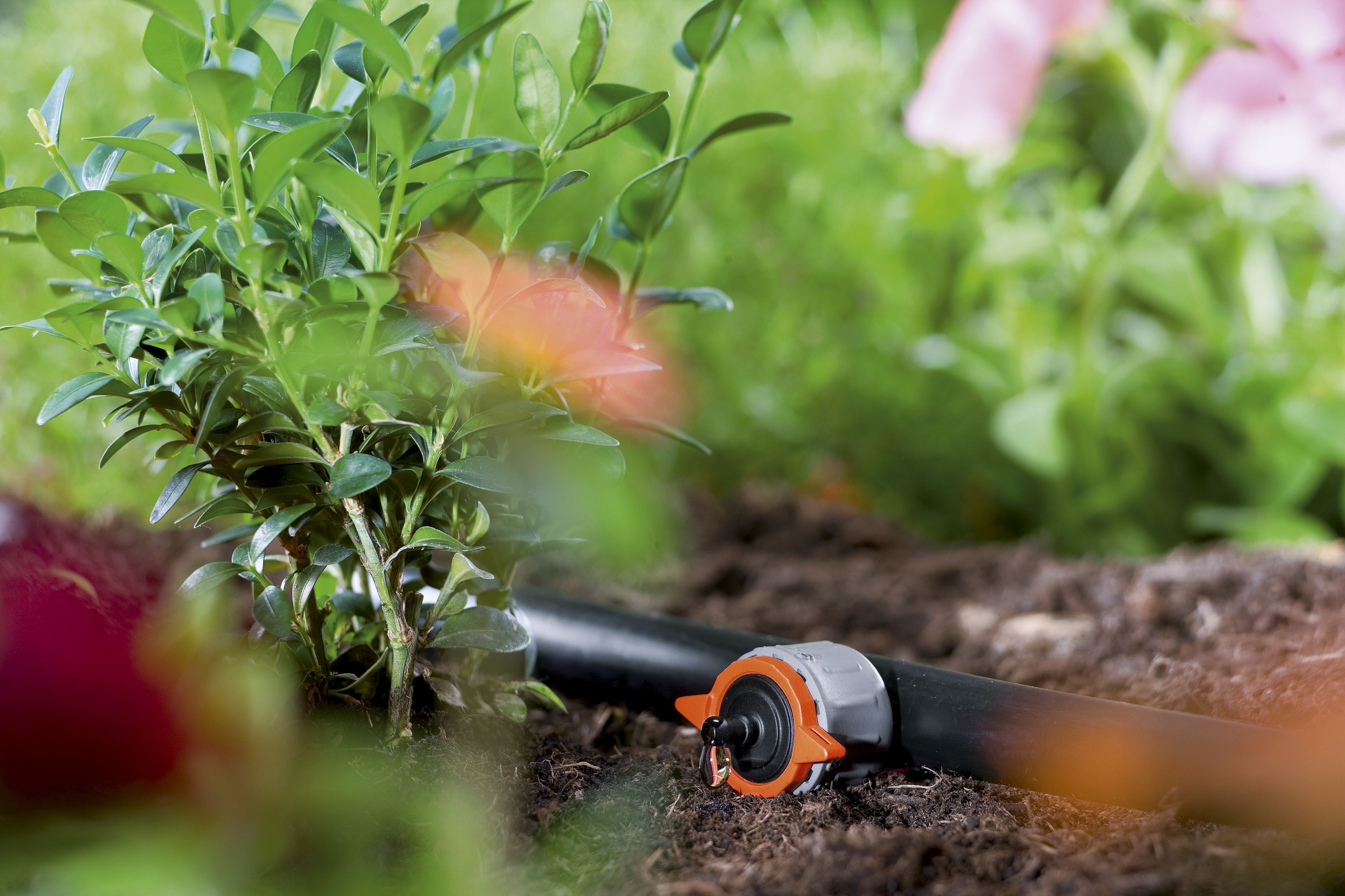 Gotero fin de línea ajustable regulador de presión