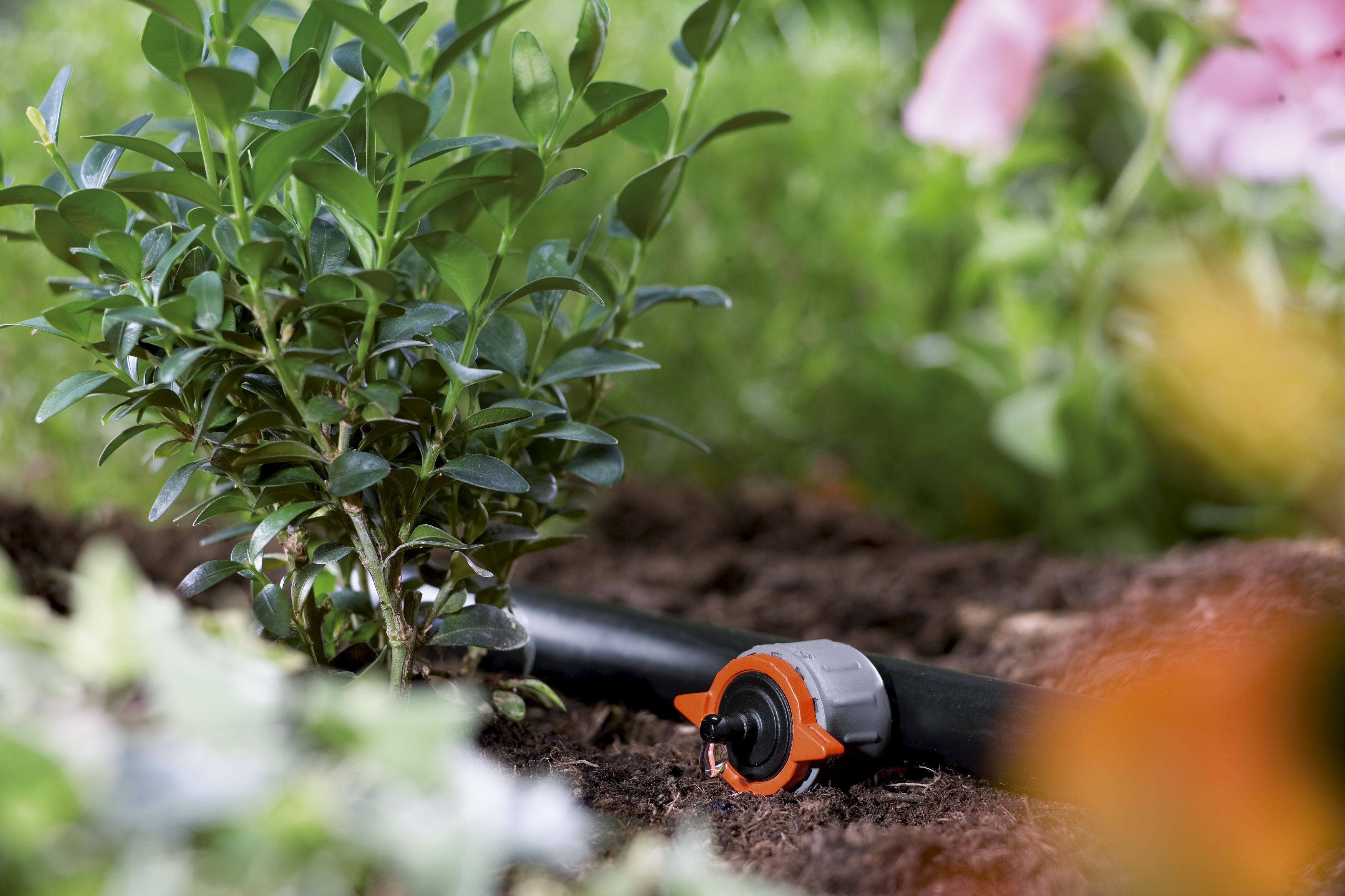 Gotero fin de línea ajustable regulador de presión