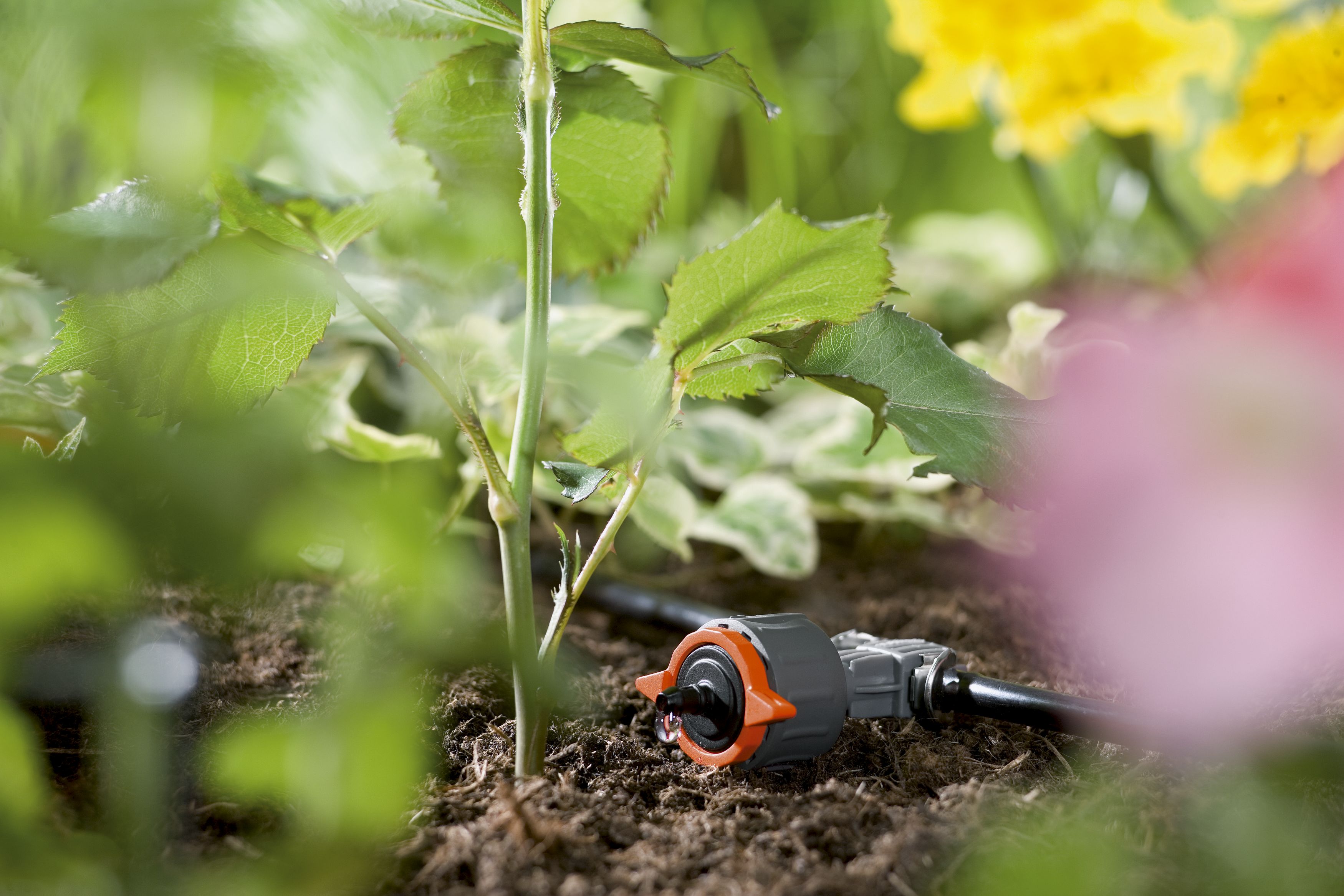 Gotero en línea ajustable regulador de presión