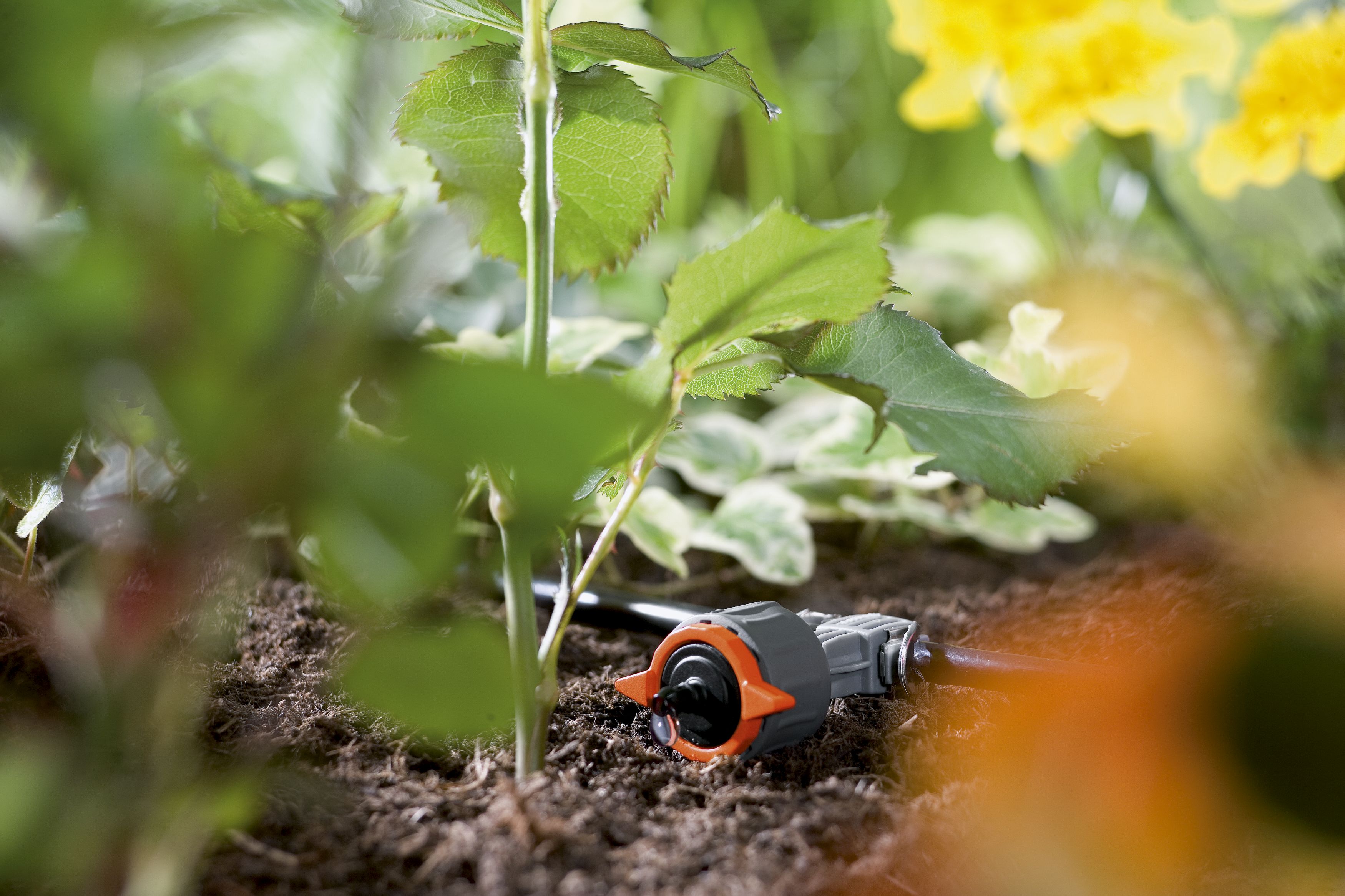 Gotero en línea ajustable regulador de presión