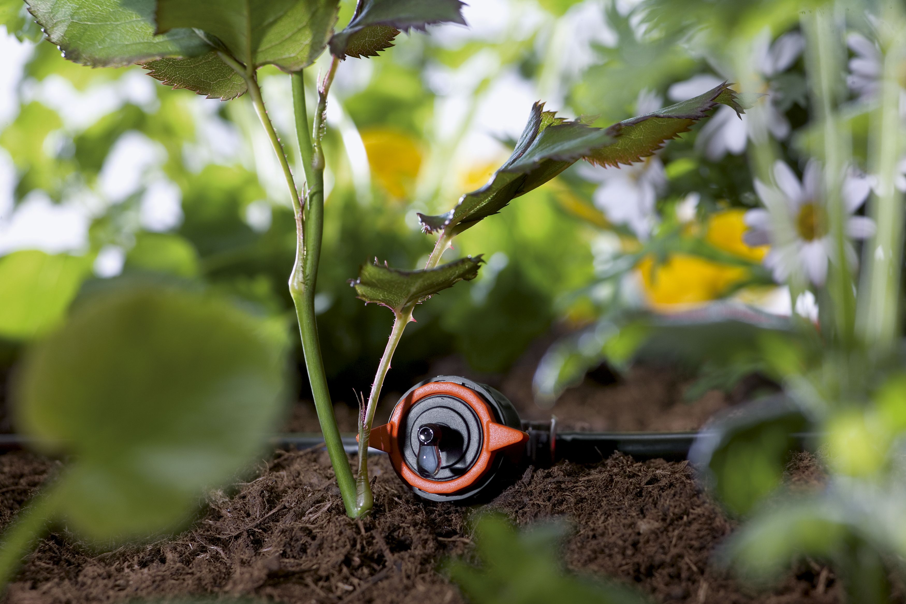 Gotero en línea ajustable regulador de presión