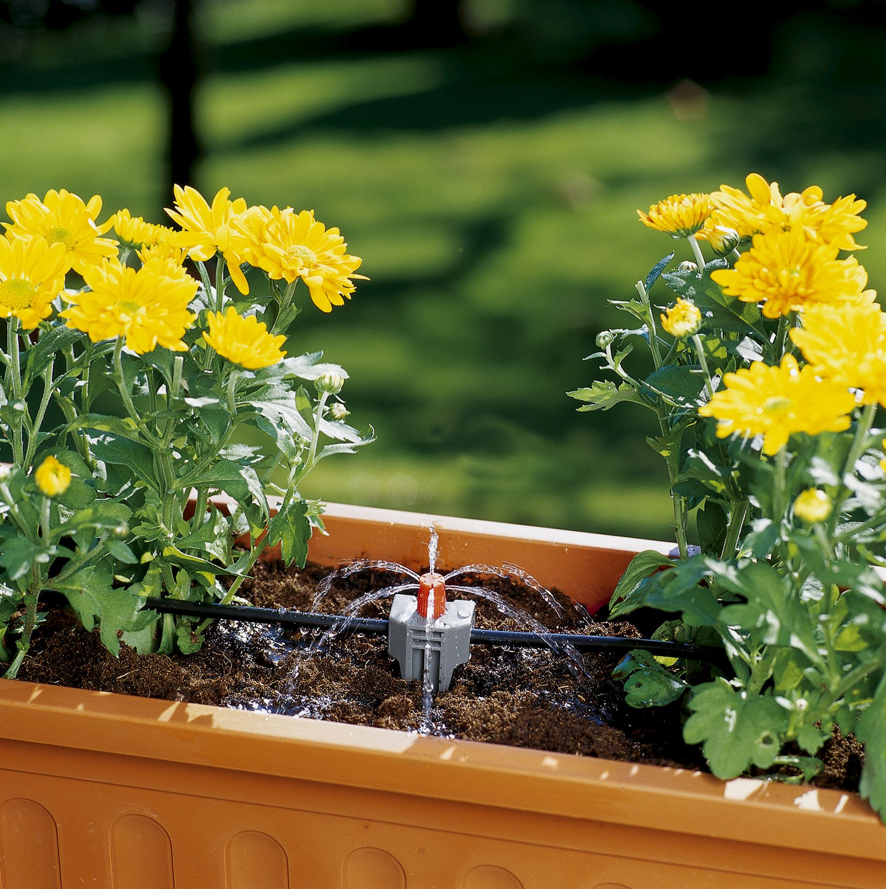 Aspersor pequeñas superficies Quick & Easy