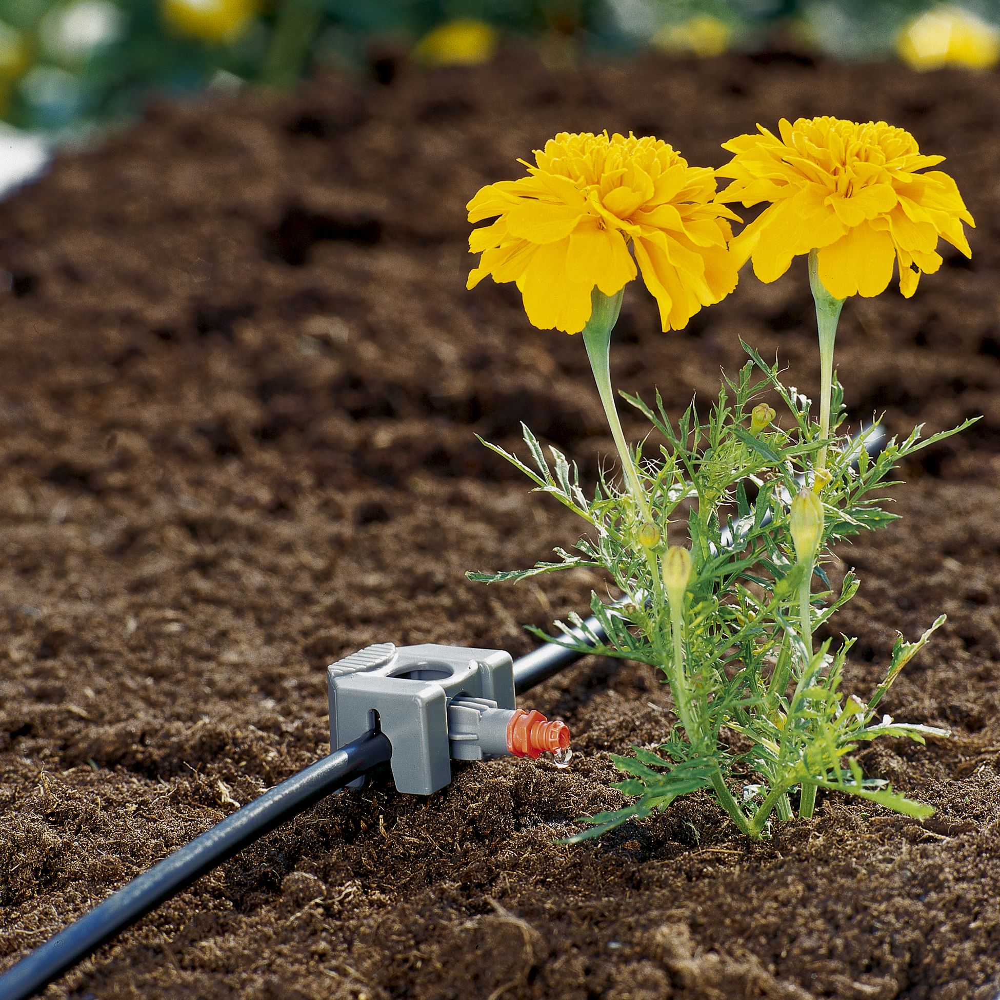 Estaca 4.6 mm (3/16\\\")