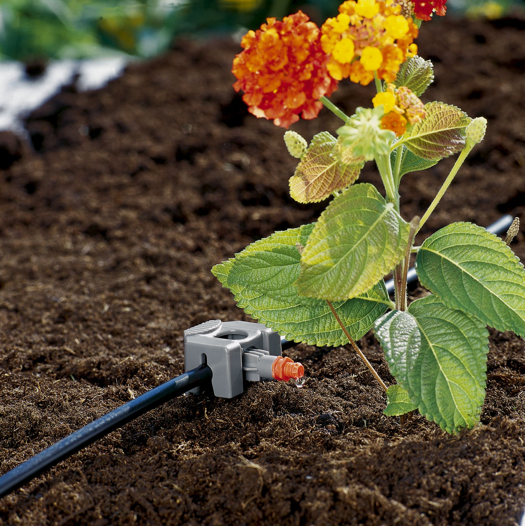 Estaca 4.6 mm (3/16\\\")